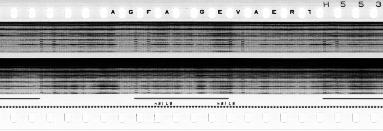 FR751142302_RDN_S_0217_1979_0219 PNG