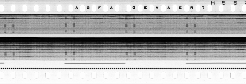 FR751142302_RDN_S_0217_1979_0225 PNG