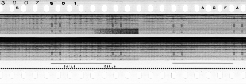 FR751142302_RDN_S_0217_1979_0229 PNG