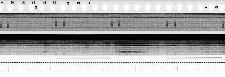 FR751142302_RDN_S_0217_1979_0262 PNG