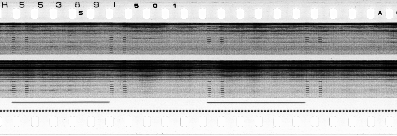 FR751142302_RDN_S_0217_1979_0277 PNG
