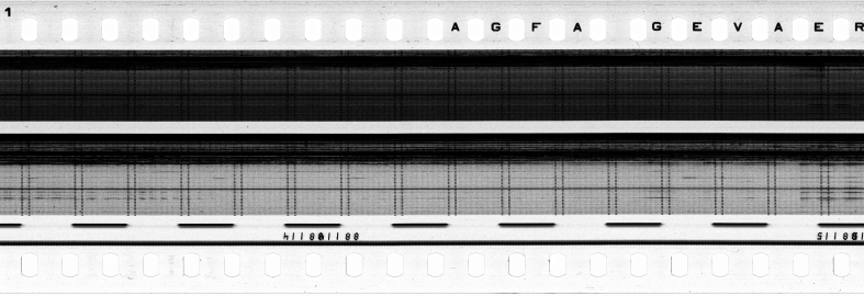 FR751142302_RDN_S_0217_1979_0303 PNG