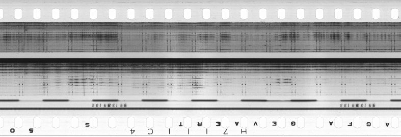 FR751142302_RDN_S_0223_1979_0158 PNG