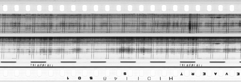 FR751142302_RDN_S_0231_1979_0176 PNG
