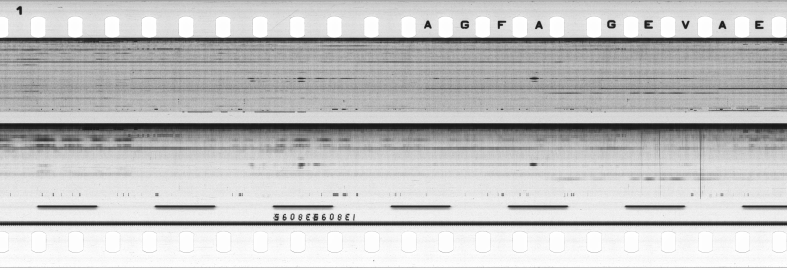 FR751142302_RDN_S_0240_1979_0194 PNG