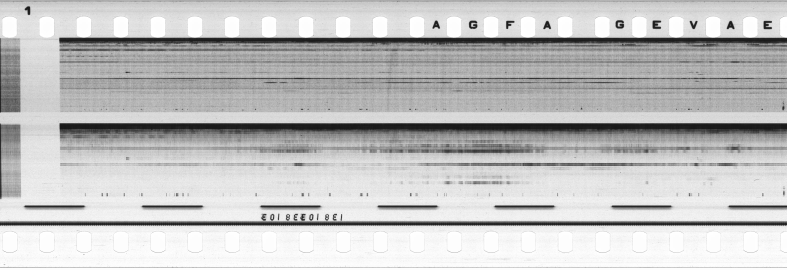 FR751142302_RDN_S_0240_1979_0197 PNG