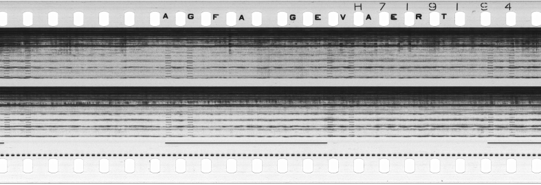 FR751142302_RDN_S_0243_1979_0140 PNG