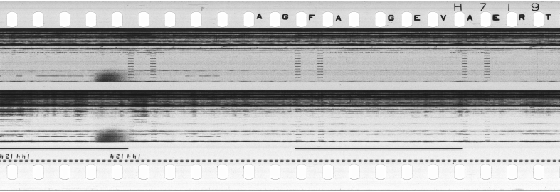 FR751142302_RDN_S_0243_1979_0200 PNG