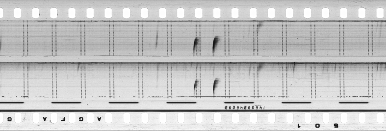 FR751142302_RDN_S_0244_1979_0206 PNG