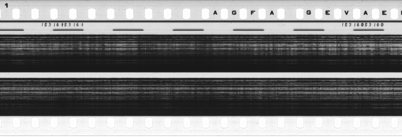 FR751142302_RDN_S_0245_1979_0035 PNG