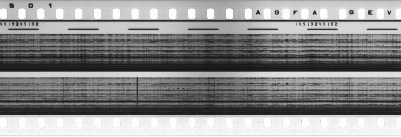 FR751142302_RDN_S_0245_1979_0214 PNG