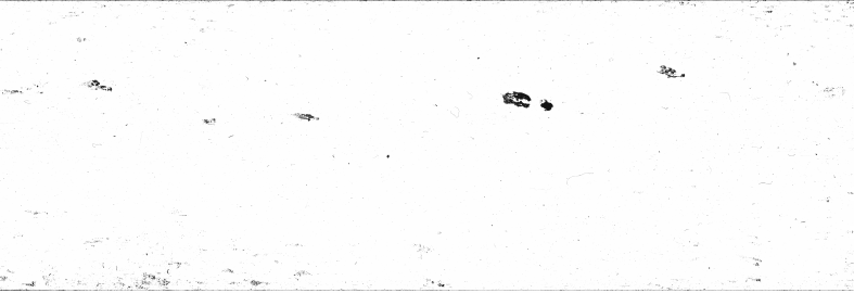 FR751142302_RDN_S_0246_1979_0001 PNG