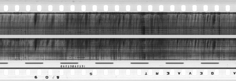FR751142302_RDN_S_0247_1979_0148 PNG