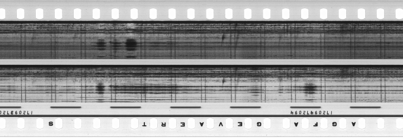 FR751142302_RDN_S_0248_1979_0145 PNG