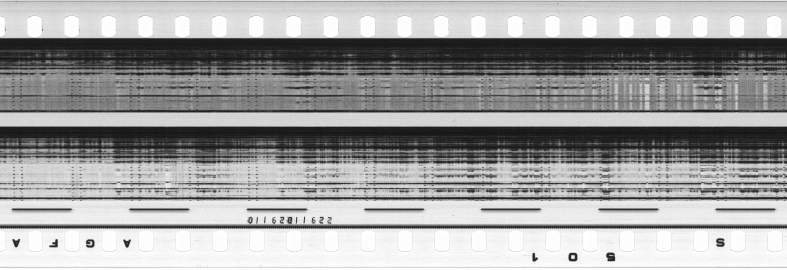 FR751142302_RDN_S_0256_1979_0205 PNG