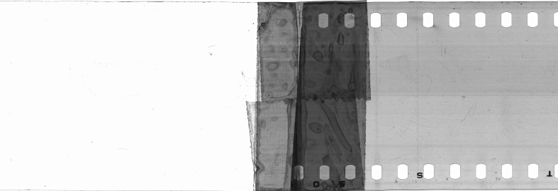 FR751142302_RDN_S_0258_1979_0005 PNG