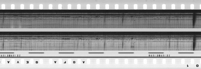 FR751142302_RDN_S_0259_1979_0059 PNG