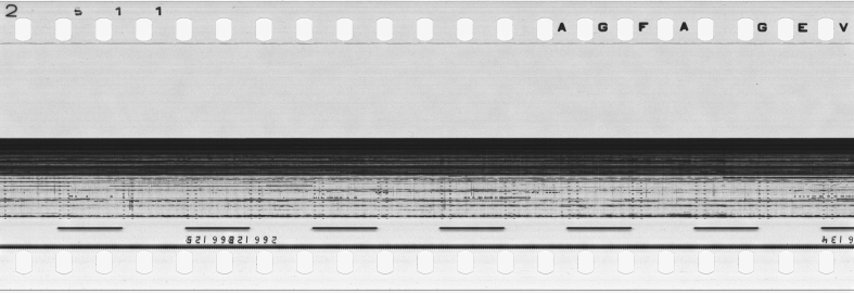 FR751142302_RDN_S_0261_1979_0030 PNG