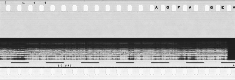 FR751142302_RDN_S_0261_1979_0033 PNG