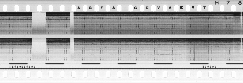 FR751142302_RDN_S_0261_1979_0092 PNG