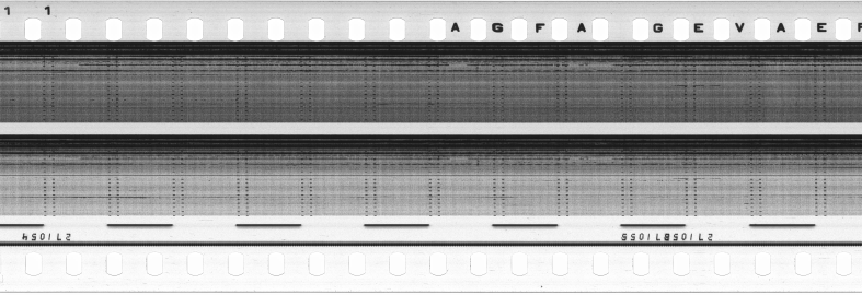 FR751142302_RDN_S_0261_1979_0167 PNG