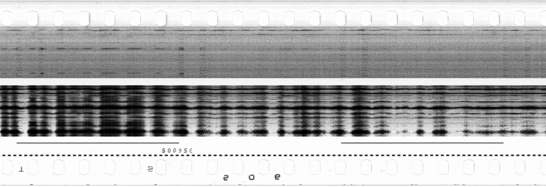 FR751142302_RDN_S_0281_1979_0019 PNG