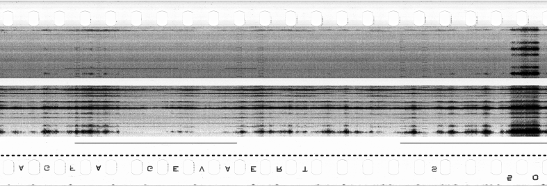 FR751142302_RDN_S_0281_1979_0029 PNG