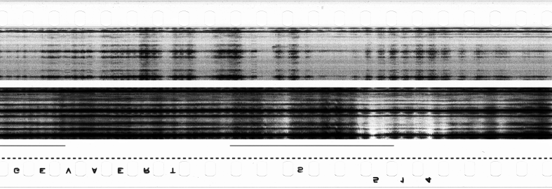 FR751142302_RDN_S_0282_1979_0167 PNG