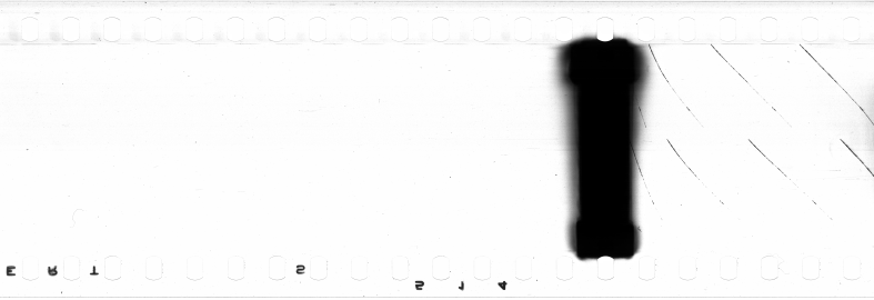 FR751142302_RDN_S_0284_1979_0012 PNG