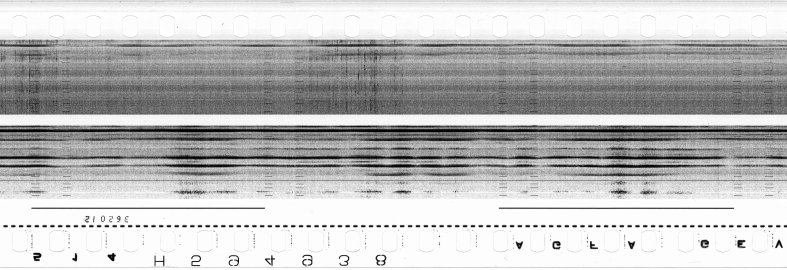 FR751142302_RDN_S_0284_1979_0038 PNG