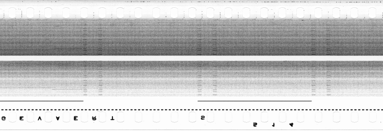 FR751142302_RDN_S_0284_1979_0081 PNG