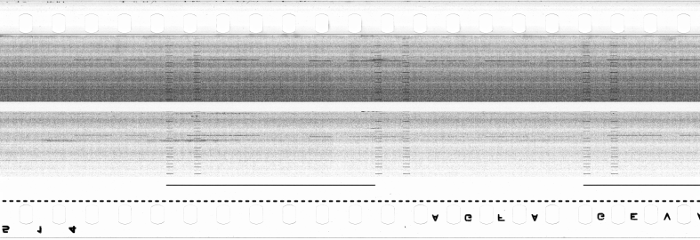 FR751142302_RDN_S_0284_1979_0205 PNG