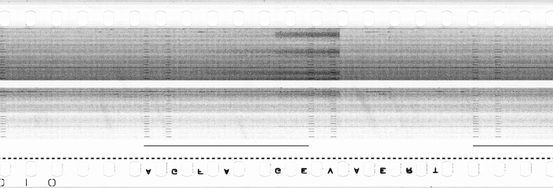 FR751142302_RDN_S_0284_1979_0255 PNG