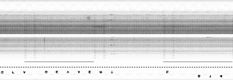 FR751142302_RDN_S_0286_1979_0036 PNG