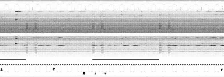 FR751142302_RDN_S_0286_1979_0047 PNG