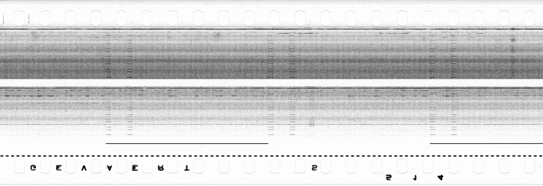 FR751142302_RDN_S_0286_1979_0188 PNG