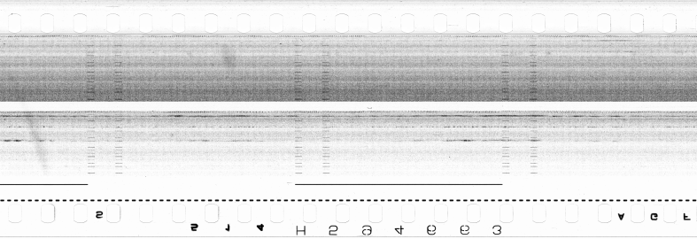FR751142302_RDN_S_0286_1979_0211 PNG