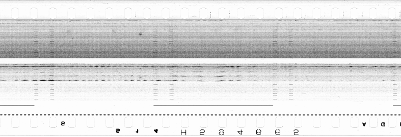 FR751142302_RDN_S_0286_1979_0217 PNG