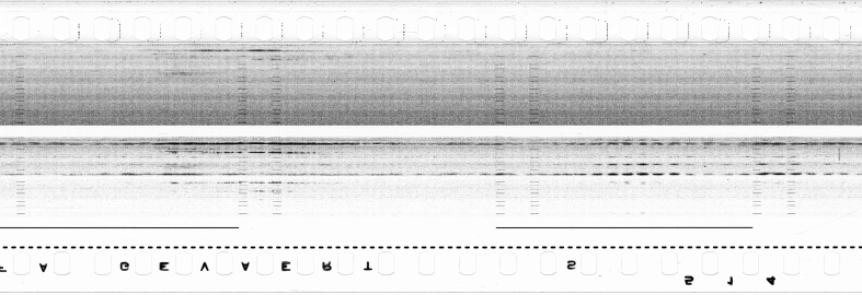 FR751142302_RDN_S_0286_1979_0218 PNG