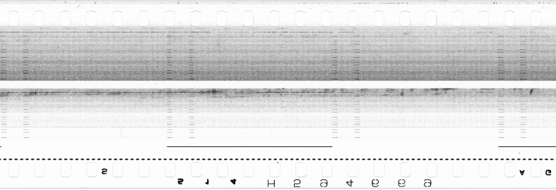 FR751142302_RDN_S_0286_1979_0229 PNG