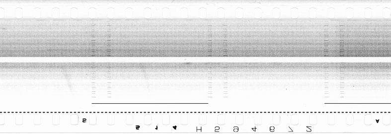 FR751142302_RDN_S_0286_1979_0238 PNG