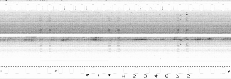 FR751142302_RDN_S_0286_1979_0247 PNG