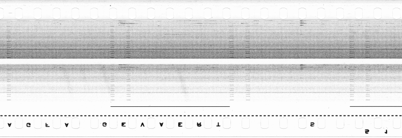 FR751142302_RDN_S_0286_1979_0260 PNG