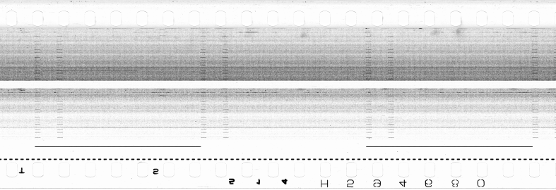 FR751142302_RDN_S_0286_1979_0262 PNG