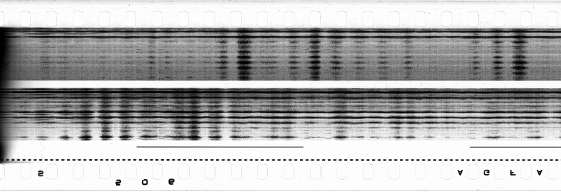 FR751142302_RDN_S_0290_1980_0009 PNG