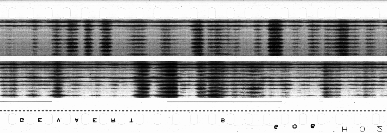FR751142302_RDN_S_0290_1980_0010 PNG