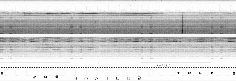FR751142302_RDN_S_0290_1980_0203 PNG