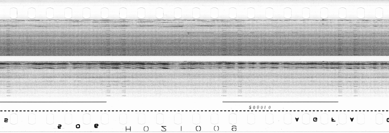 FR751142302_RDN_S_0290_1980_0206 PNG