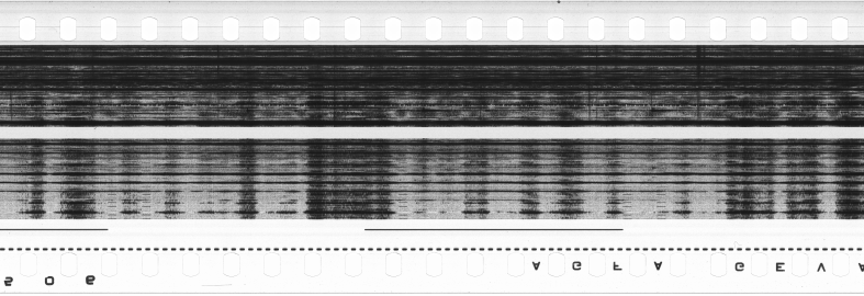 FR751142302_RDN_S_0295_1980_0206 PNG