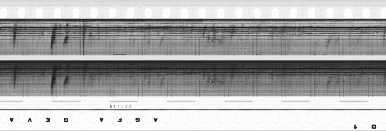 FR751142302_RDN_S_0303_1980_0019 PNG
